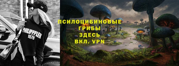 мескалин Инсар